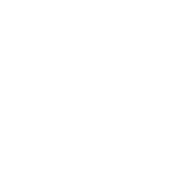 helmet (1)