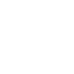 whistle
